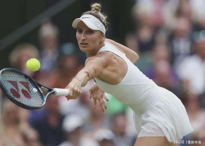 缺乏多样的 缺乏多样的